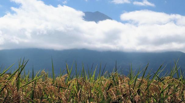 初秋の富士吉田市の田園風景の写真