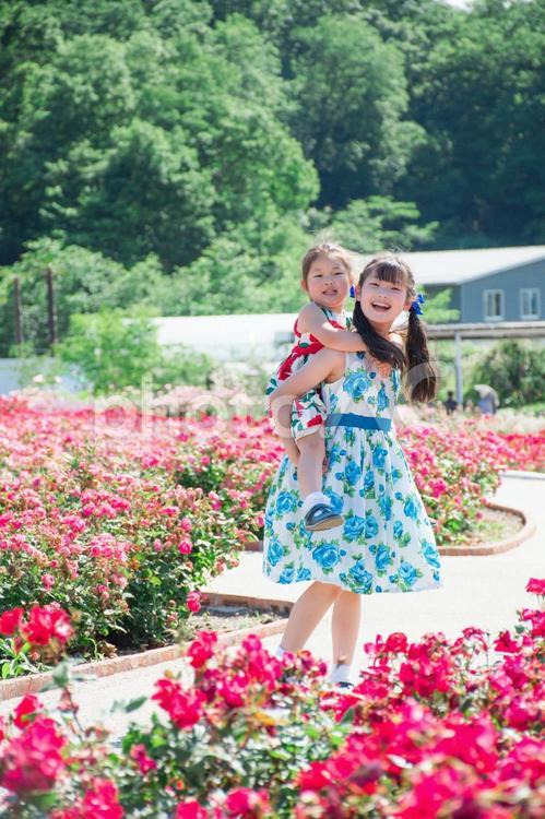 妹をおんぶするお姉ちゃん 子供,花,笑顔の写真素材