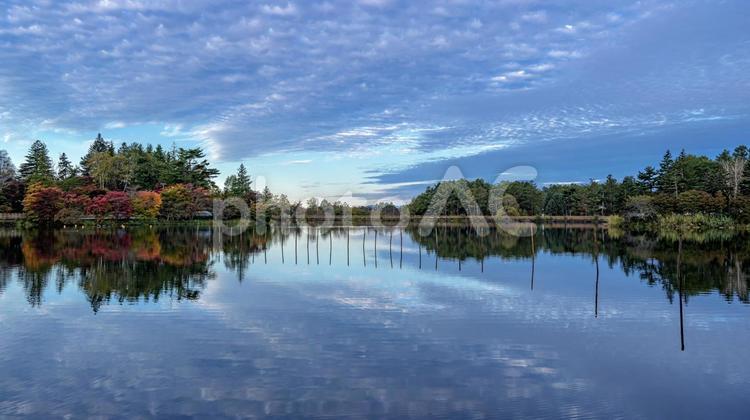 長野県・茅野市 秋の朝の蓼科湖の風景 長野県,日本,絶景の写真素材
