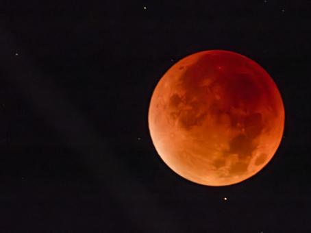 皆既月食2025年9月8日 皆既食② 皆既月食2025年9月8日 皆既食②の写真