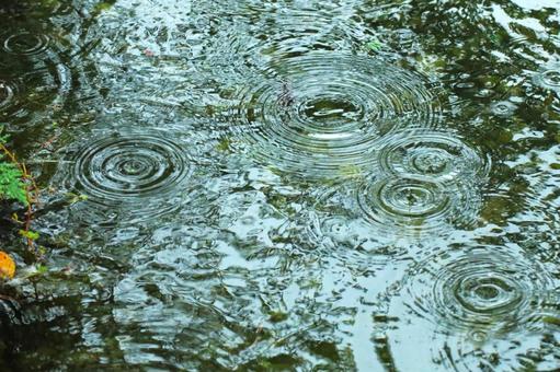 雨の波形3-自然の美 雨の波形3-自然の美の写真