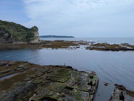 かつうら海中公園 かつうら海中公園の写真