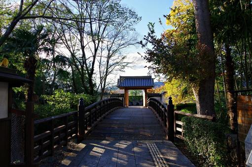 池田城跡公園 11月の大手門 池田城跡公園 11月の大手門 大手門,東門,小道の写真素材