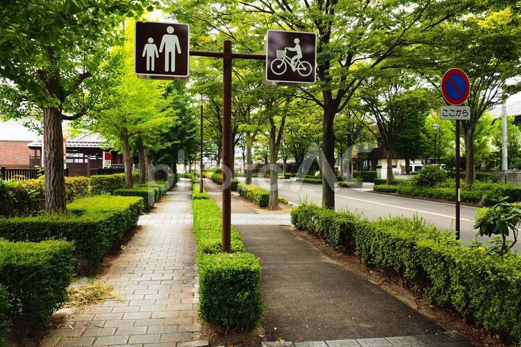 自転車分離の歩行者道 歩道,自転車,分離の写真素材
