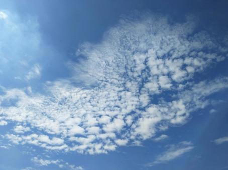 秋の空にうろこ雲 秋の空にうろこ雲の写真