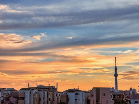 中川越しの夕焼け雲とスカイツリー 中川,夕焼け雲,スカイツリーの写真素材