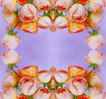 主にピンクカラーのバラ花柄素材 主にピンクカラーのバラ花柄素材 花,ピンク,バラの写真素材