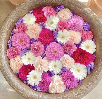色鮮やかな花手水43 花手水,はなちょうず,手水舎の写真素材
