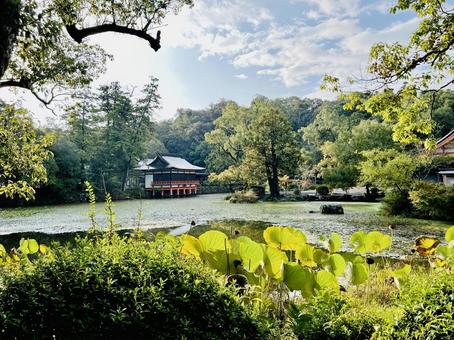 宇佐神宮 宇佐神宮,神社,パワースポットの写真素材
