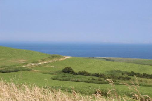 草原と海が広がる夏の景色 草原と海が広がる夏の景色 草原,海,青空の写真素材