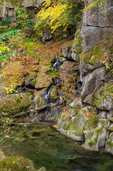 秋の磊々峡(24) 秋,紅葉,落ち葉の写真素材
