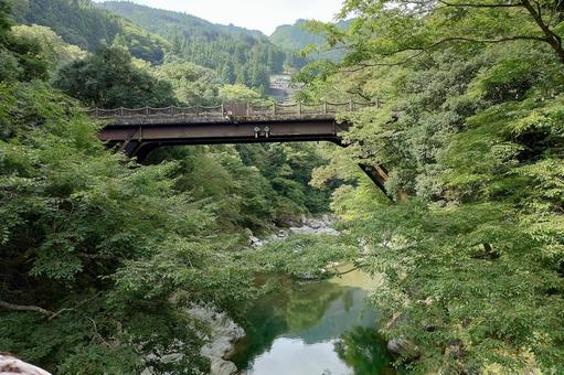 徳島県-祖谷のかずら橋からの風景 徳島県-祖谷のかずら橋からの風景 祖谷,かずら橋,奇橋の写真素材