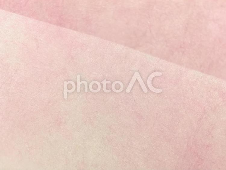 和紙　淡い2色の桃色 桜,さくら,春の写真素材
