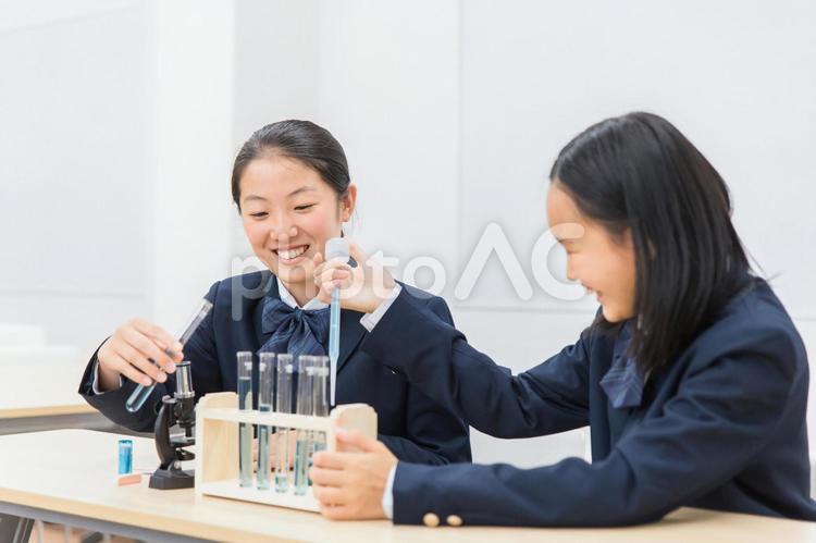 理科の実験をする中学生の女の子 理科,実験,化学の写真素材