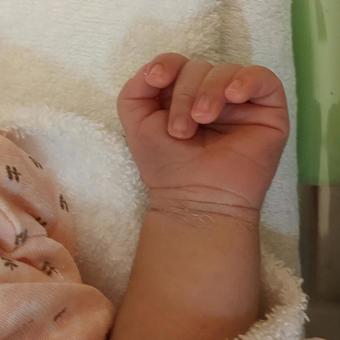 赤ちゃんの手 赤ちゃんの手の写真