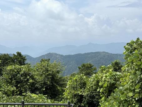 夏の高尾山　山頂から見た景色 森,夏休み,高尾山の写真素材