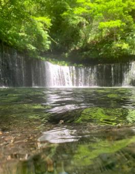 白糸の滝 白糸の滝の写真