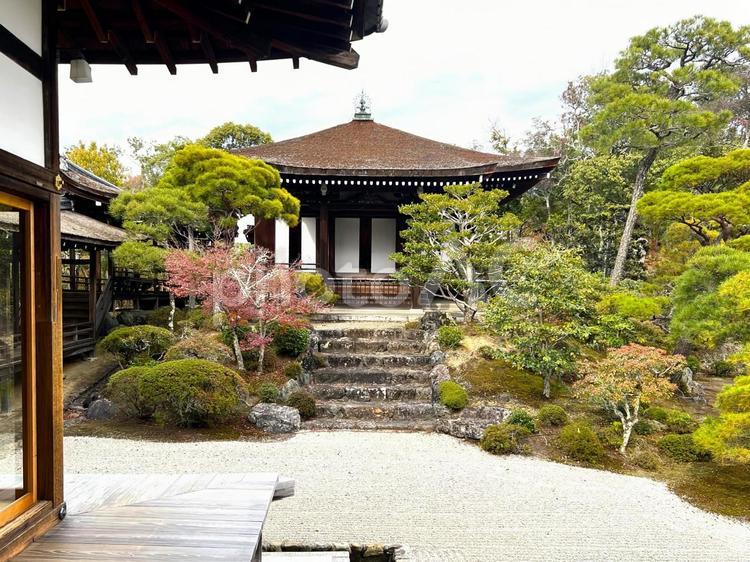 仁和寺御殿 京都,仁和寺,御室仁和寺の写真素材