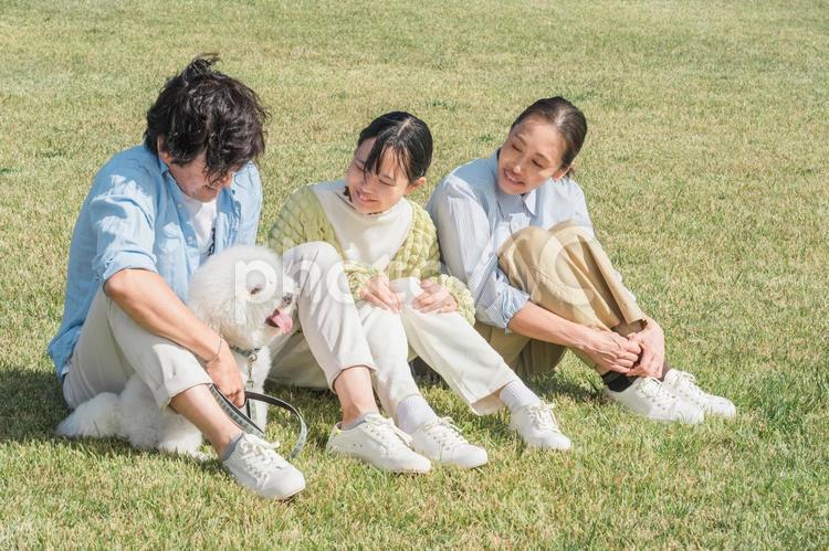 犬・ペットと遊ぶ家族・ファミリー 家族,犬,ファミリーの写真素材