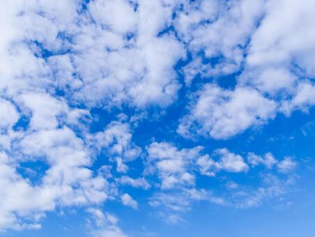 青空に広がる白い雲の風景 空,青空,雲の写真素材