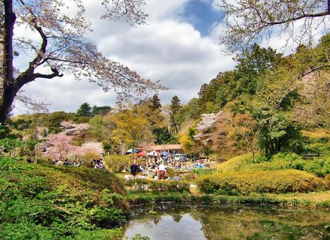 清水公園の風景-31 清水公園の風景-31 清水公園,千葉県野田市,公園の写真素材