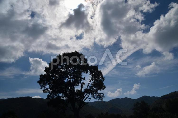 開田高原　青い空と白い雲とそばの花 空,雲,開田高原の写真素材