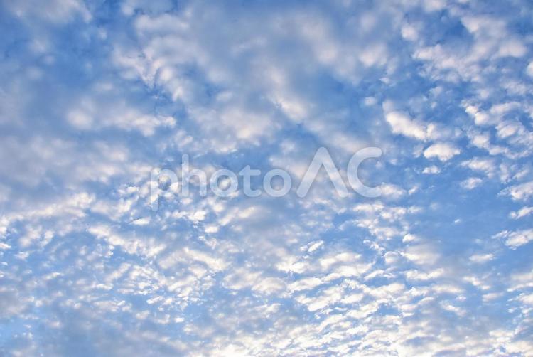 9月の空模様 空,雲,風景の写真素材