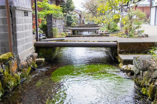 醒井宿 地蔵川 醒井宿 地蔵川 醒井宿,居醒の清水,地蔵川の写真素材