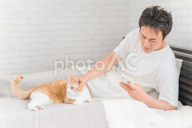 ペットの猫とスマホで写真を撮る男性 猫,ペット,飼い主の写真素材