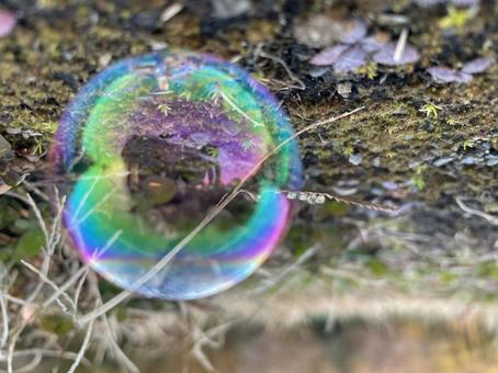 シャボン玉 シャボン玉 シャボン玉,キラキラ,風景の写真素材