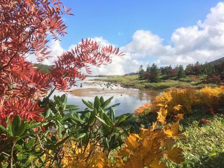 山の紅葉と湖（福島県、浄土平） 山,自然,秋の写真素材