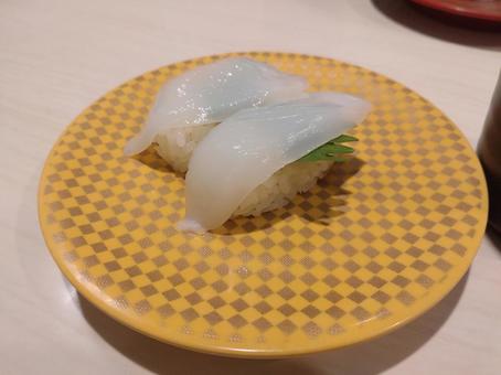squid, JPG