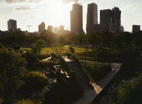 夕陽に照らされるバンコクのビル群と公園 風景,都市,ビルの写真素材