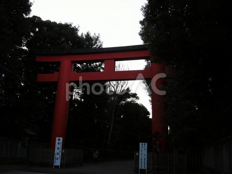 井草八幡宮　鳥居　東京　杉並 鳥居,井草八幡宮,東京の写真素材