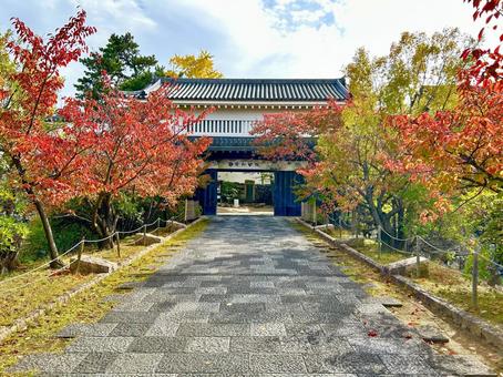 岸和田城の門 大阪,大阪府,岸和田の写真素材