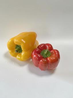 パプリカ黄色と赤 パプリカ黄色と赤の写真