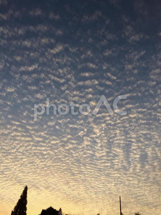 秋の夕暮れ空 何人もありません,空,屋外での写真素材