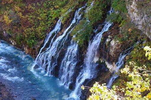 10月秋の白ひげの滝 美瑛,白ひげの滝,10月の写真素材