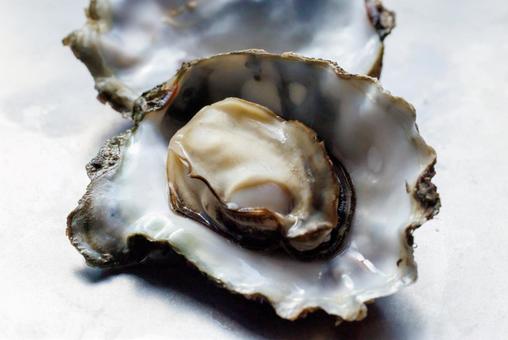 牡蠣 牡蠣,カキ,オイスターの写真素材