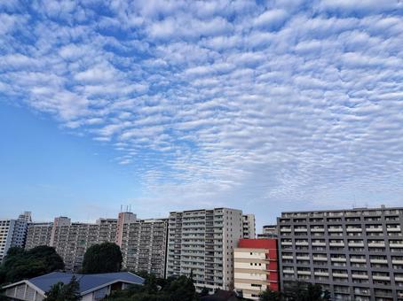 ベランダからの風景・秋の空 ベランダからの風景・秋の空 秋の空,晴れ,イワシ雲の写真素材