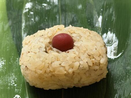 笹巻きおむすび小梅入り 笹巻きおむすび,笹巻き,国産笹の写真素材