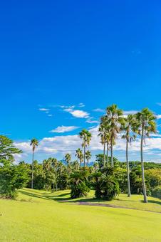 鹿児島　開聞山麓自然公園（トカラ馬牧場） 開聞山麓自然公園,トカラ馬牧場,開聞岳の写真素材