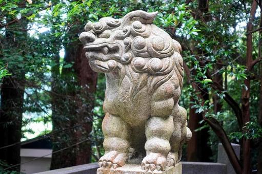 池神社の狛犬 池神社の狛犬 狛犬,池神社,石垣の写真素材