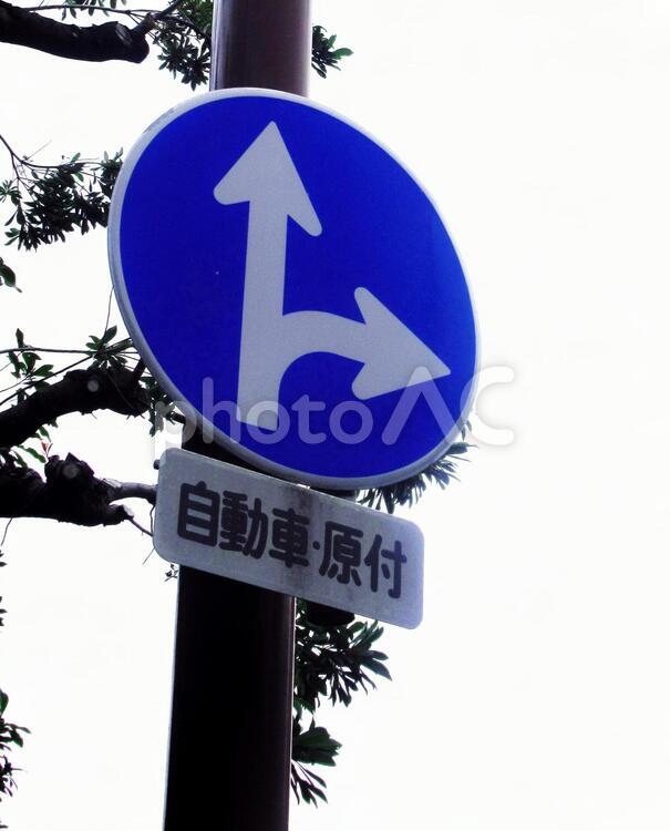 交通標識 標識,交通,看板の写真素材