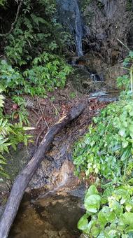 枝折峠途中にある小さな滝と小川の写真