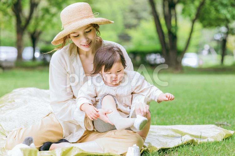 公園で子供に靴を履かせるママ・母親・女性 靴,シューズ,子供の写真素材