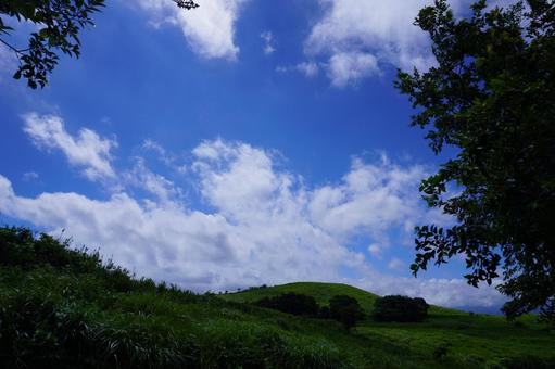 北九州 平尾台の風景 北九州 平尾台の風景の写真