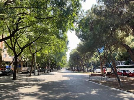 ヌマンシア通り（バルセロナ） バルセロナ,スペイン,カタルーニャの写真素材