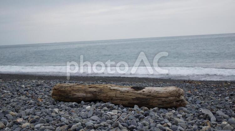 海と流木 流木,海,屋外の写真素材