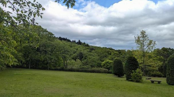 ５月の山の写真